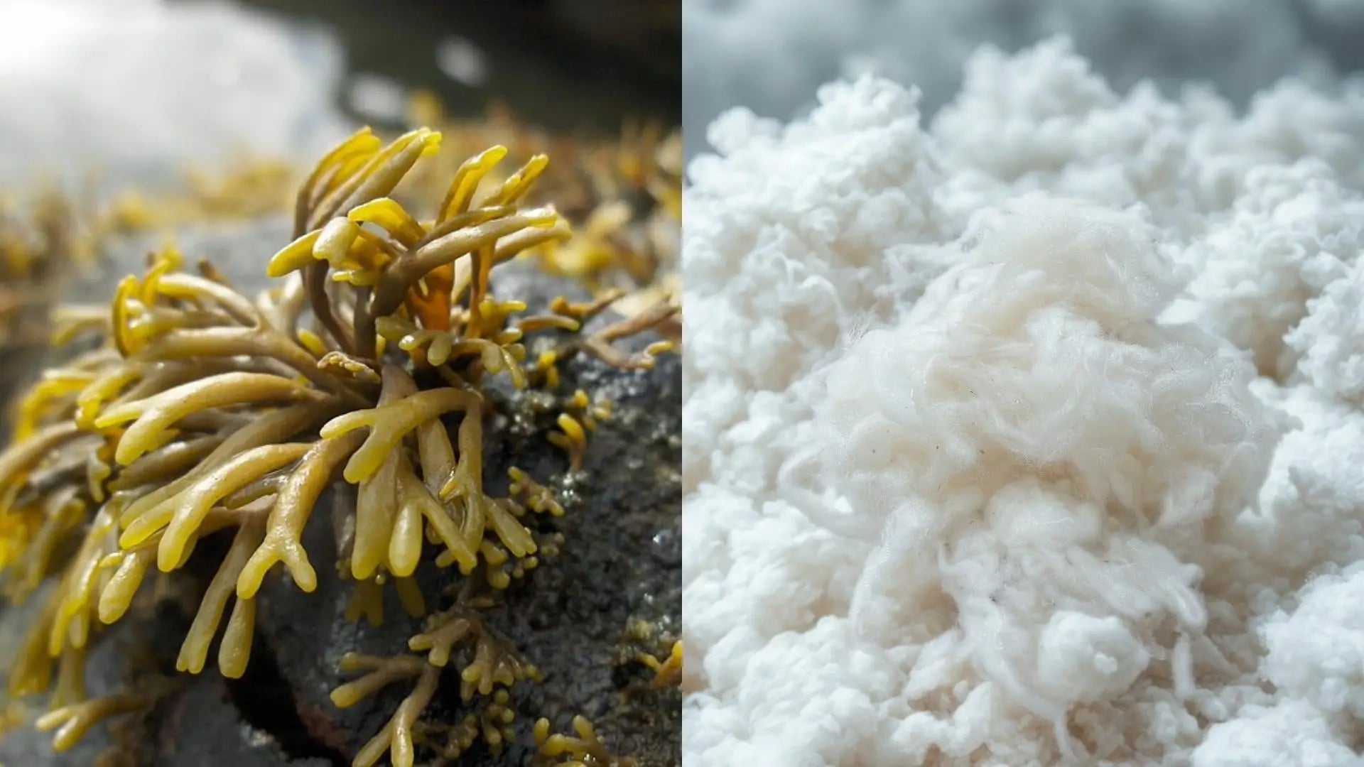 OUR MATERIALS: Pyratex®