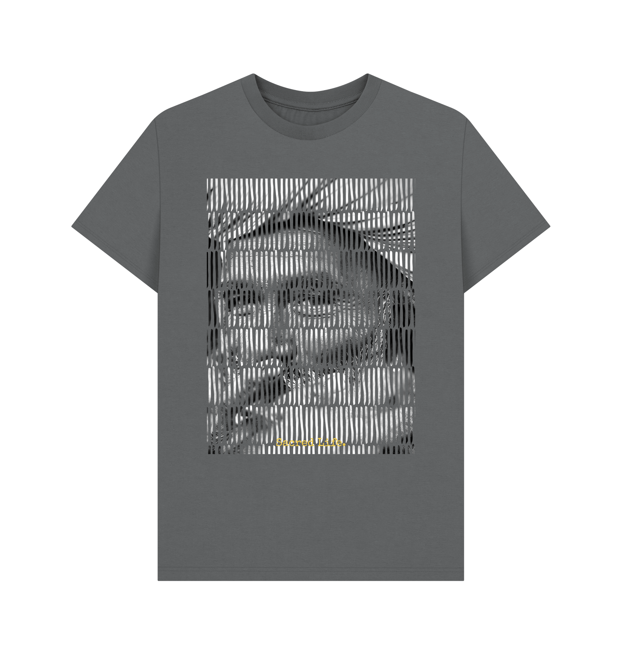 Slate Grey Printed T-shirt Front