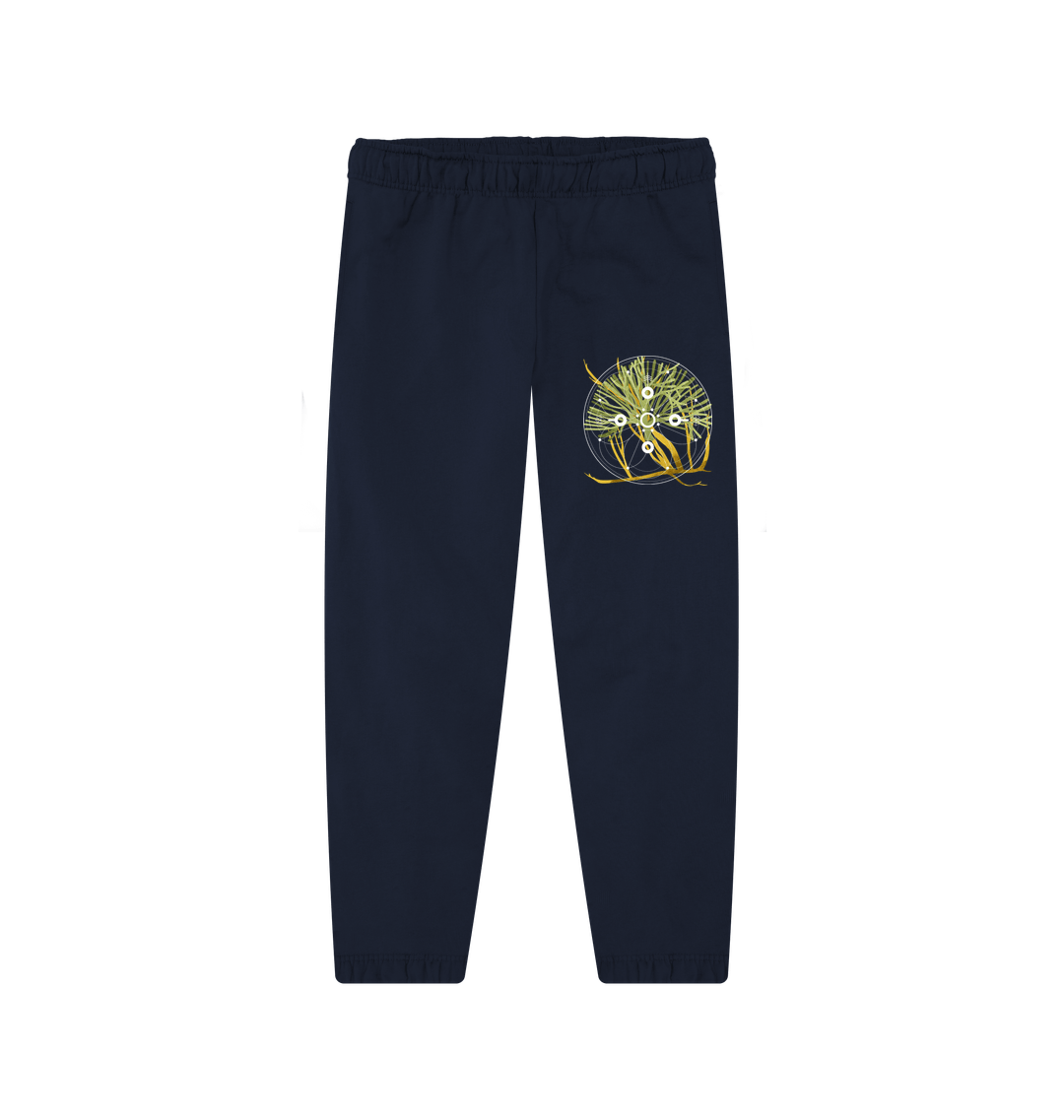 Navy Joggers Front
